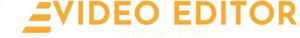 Avada SEO