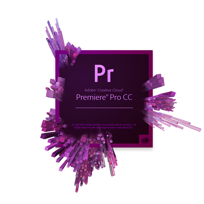 adobe primer pro expert